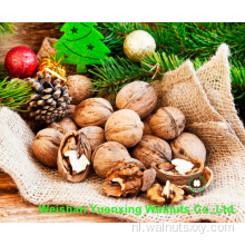 Walnut Kernels Light Amber Helften (LAH) voor geweldige smaak